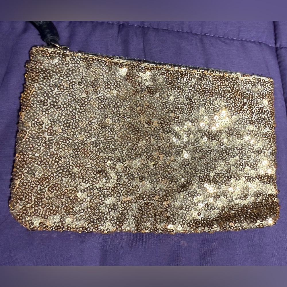 Ipsy Gold Sequin Cosmetics Bag